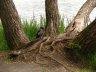 Нижегородская область